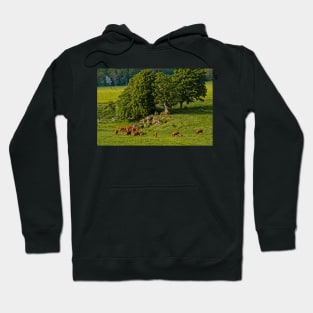 English Country Farming Scene Hoodie